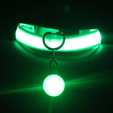 Luminous LED Dog Collar for NightSafety