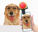 Pet Selfie Artifact