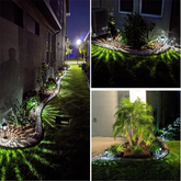 LED Solar Lawn Light