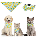 Cat & Dog Collar