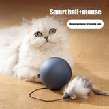 Automatic Rolling Mouse Teaser Ball for Cats & Dogs Interactive Pet Toy