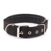Pp Braid Lined Polypropylene PET Foam Dog Collar
