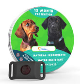 Flea & Tick Protection Collar for Dogs & Cats
