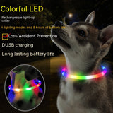 Fashion LED Dog Collar Light Up Safety Neckband