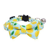Cat & Dog Collar