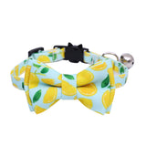 Cat & Dog Collar