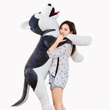 Husky Plush Toy