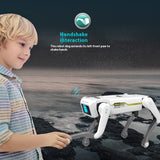 Simulation Robot Dog with Voice Dialogue
