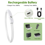USB Rechargeable LED Dog Safety Collar