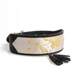 Dog Collar for Medium & Large Dogs