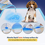 Absorbent Pet Hygiene Dog Training Pad for Puppies & Dogs