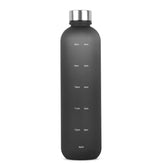 Frosted Gradient Plastic Sports Water Bottle with Handle