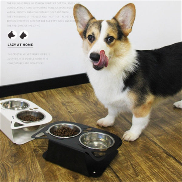 Pet Feeding & Watering