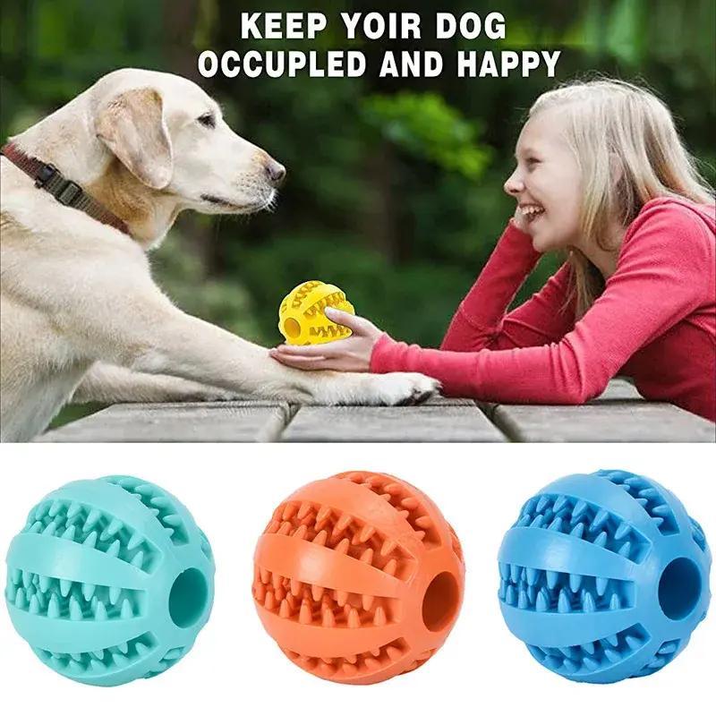 Pet Toys