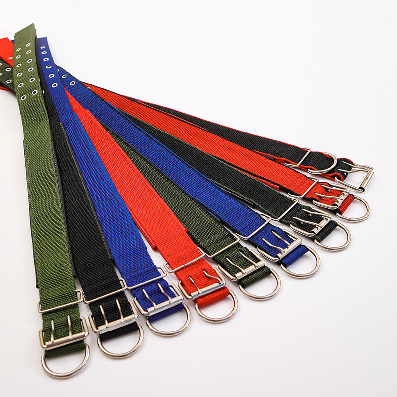 Pet Collars