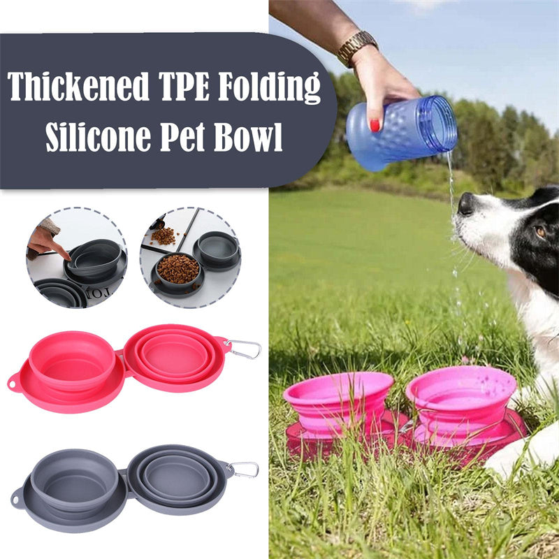 Foldable Rubber Double Pet Bowl for Dogs & Cats