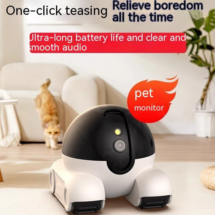 Wireless Pet Surveillance Camera