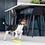 Soft Sounding Disc Dog Toy for Indoor Play & Interactive Fun