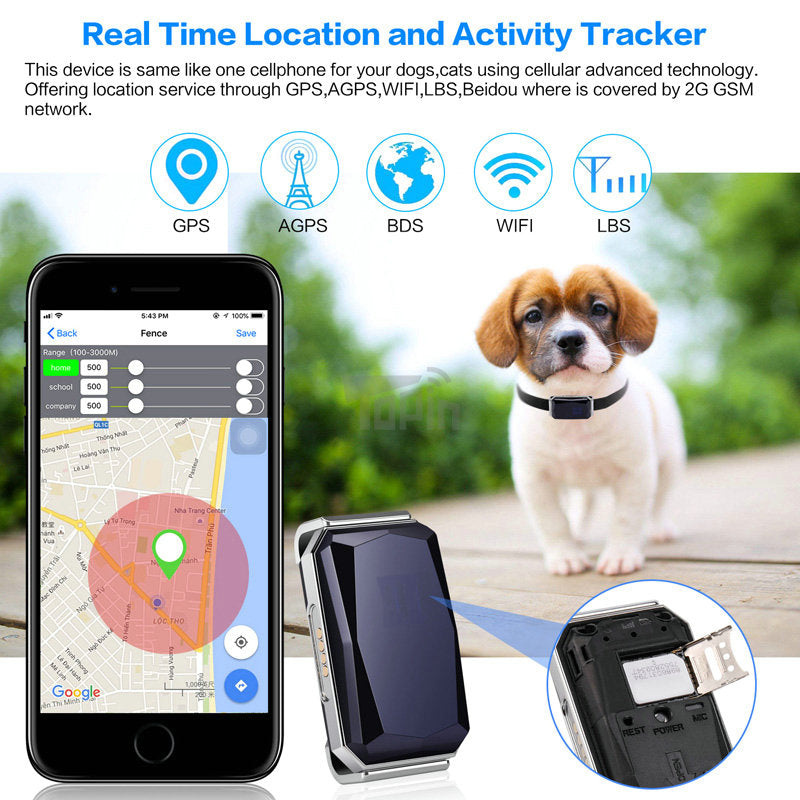 Smart GPS Pet Tracker Collar for Real Time Location Tracking