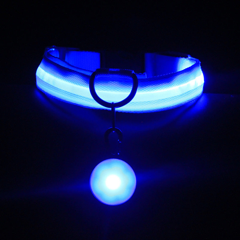 Luminous LED Dog Collar for NightSafety
