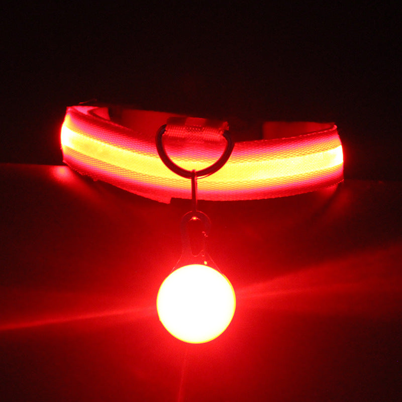 Luminous LED Dog Collar for NightSafety