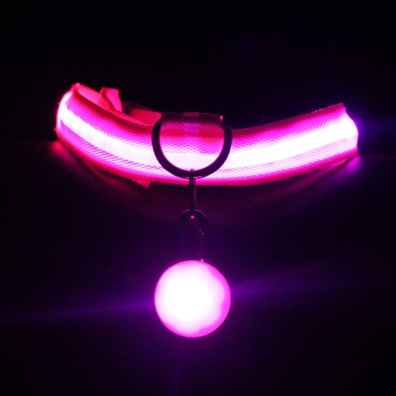 Luminous LED Dog Collar for NightSafety