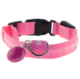 Luminous LED Dog Collar for NightSafety