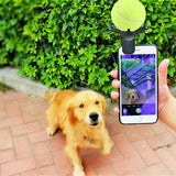 Pet Selfie Artifact
