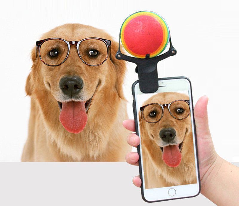 Pet Selfie Artifact