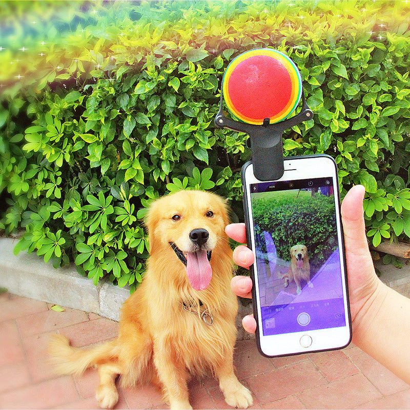 Pet Selfie Artifact