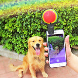 Pet Selfie Artifact