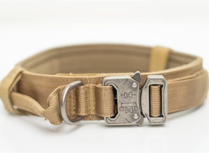 Durable Nylon Dog Collar for Medium & Large Dogs
