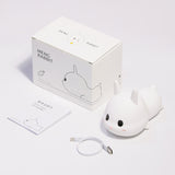 Creative LED Night Light