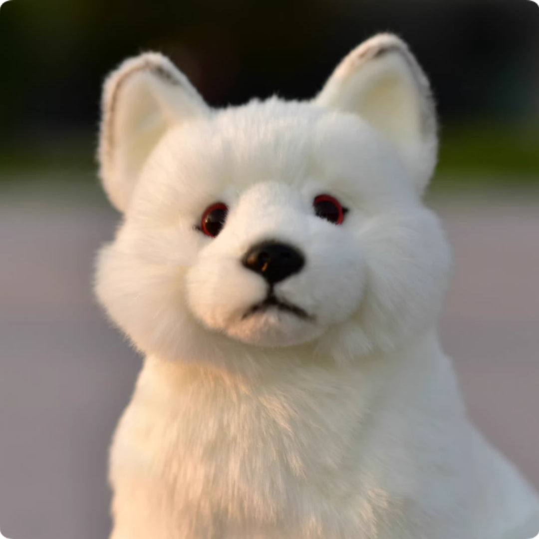 Animal Plush Toy