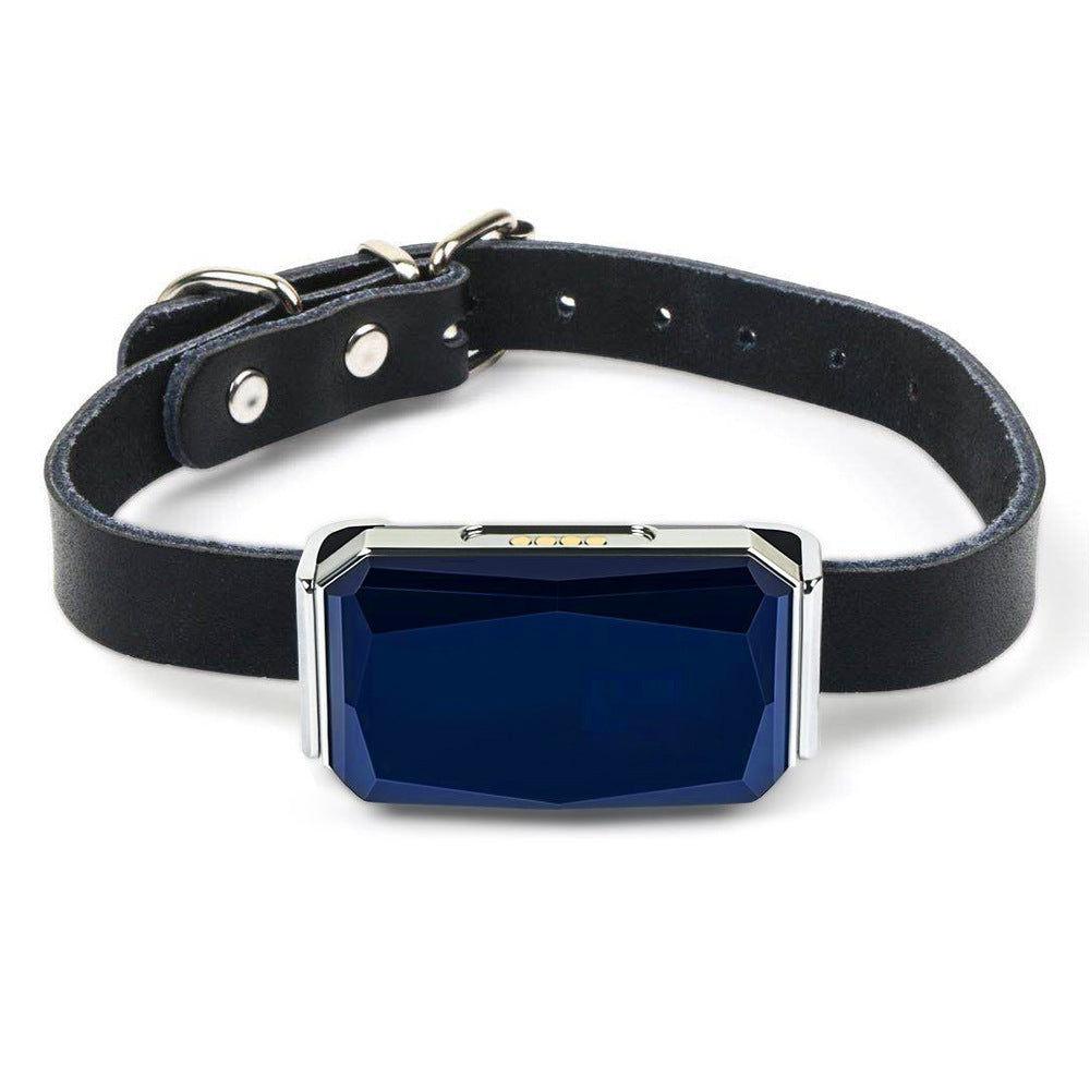 Smart GPS Pet Tracker Collar for Real Time Location Tracking