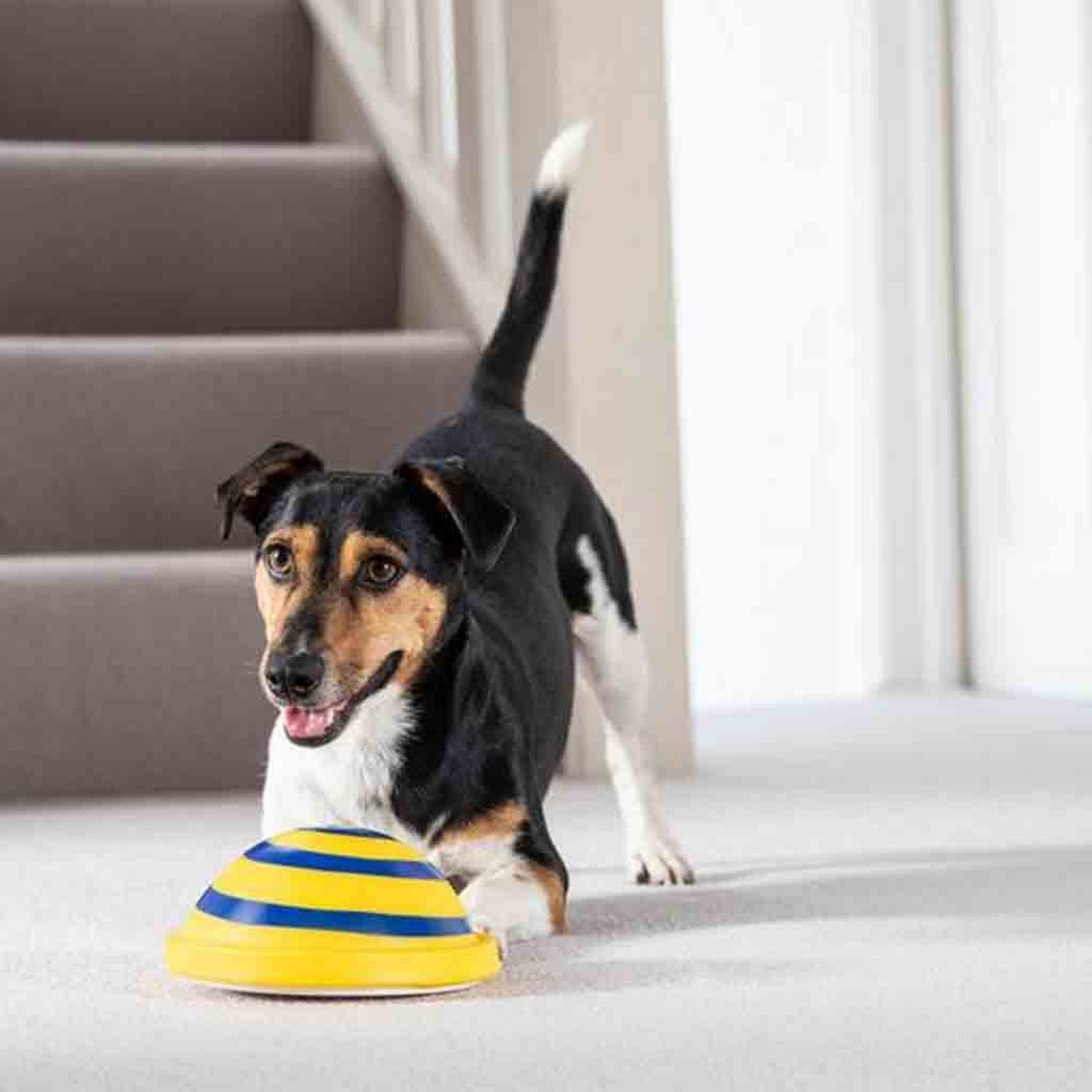 Soft Sounding Disc Dog Toy for Indoor Play & Interactive Fun