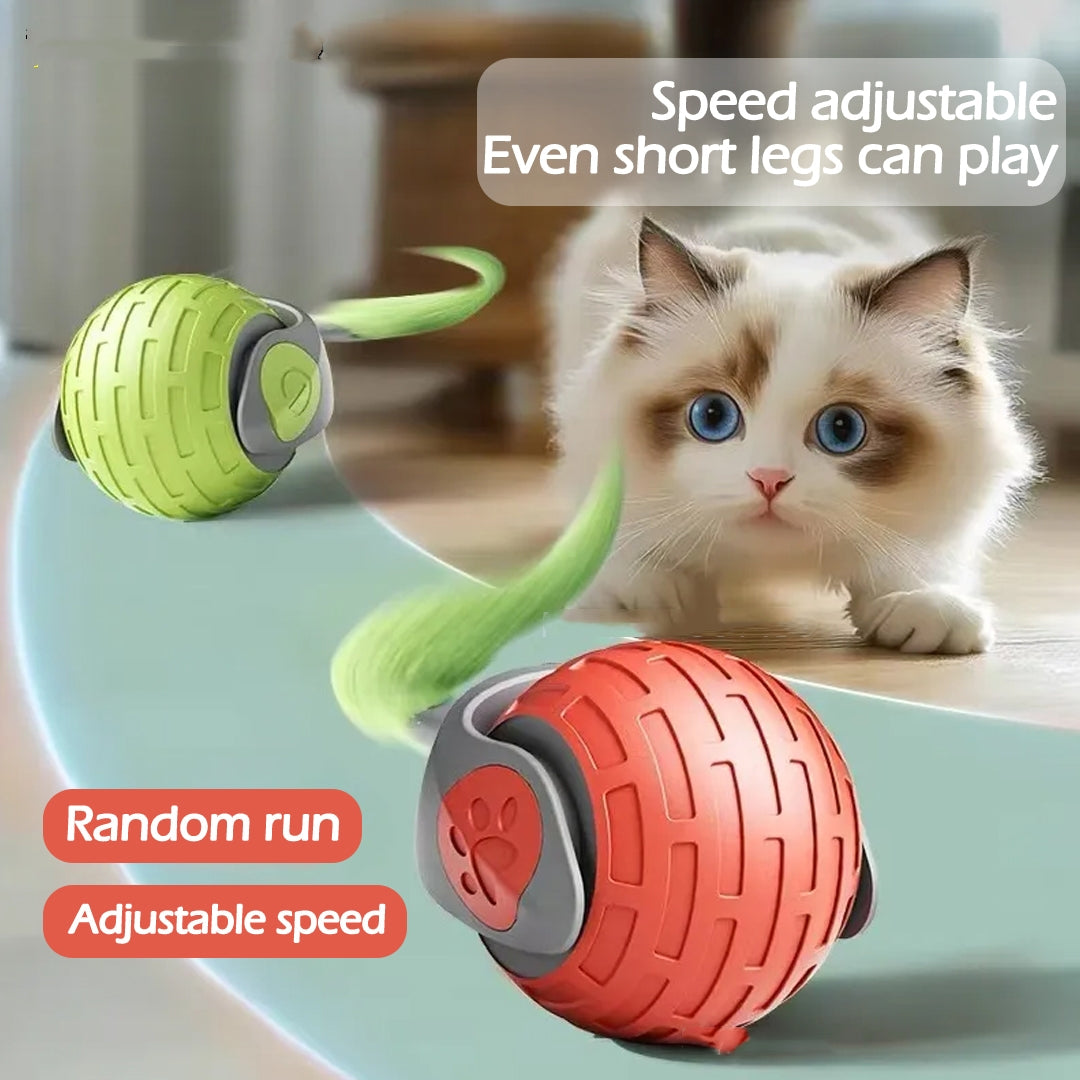 Automatic Rolling Cat Ball Toy