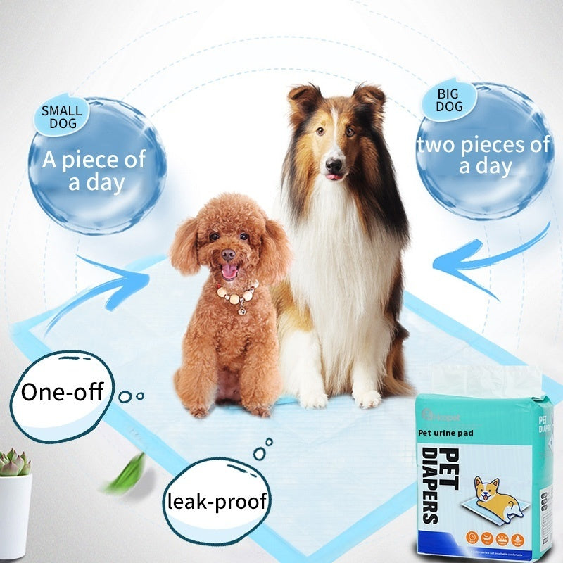 Absorbent Pet Hygiene Dog Training Pad for Puppies & Dogs
