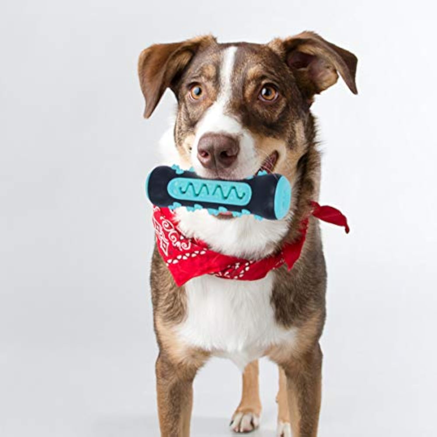 Dog Chew Toothbrush Toy