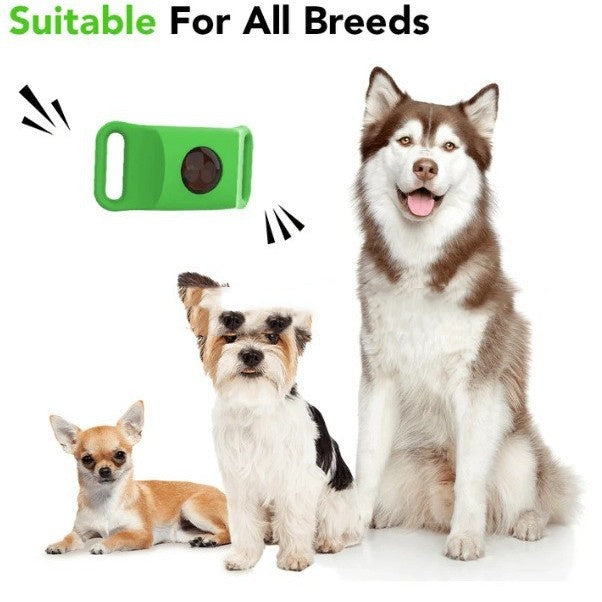 Flea & Tick Protection Collar for Dogs & Cats