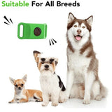 Flea & Tick Protection Collar for Dogs & Cats