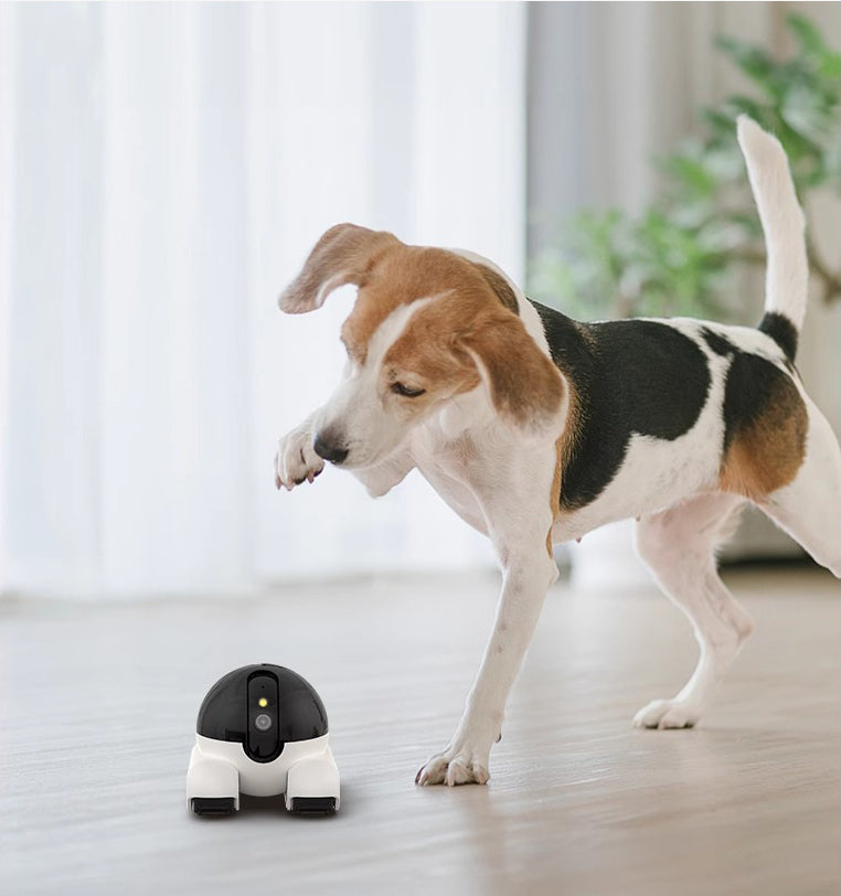 Wireless Pet Surveillance Camera