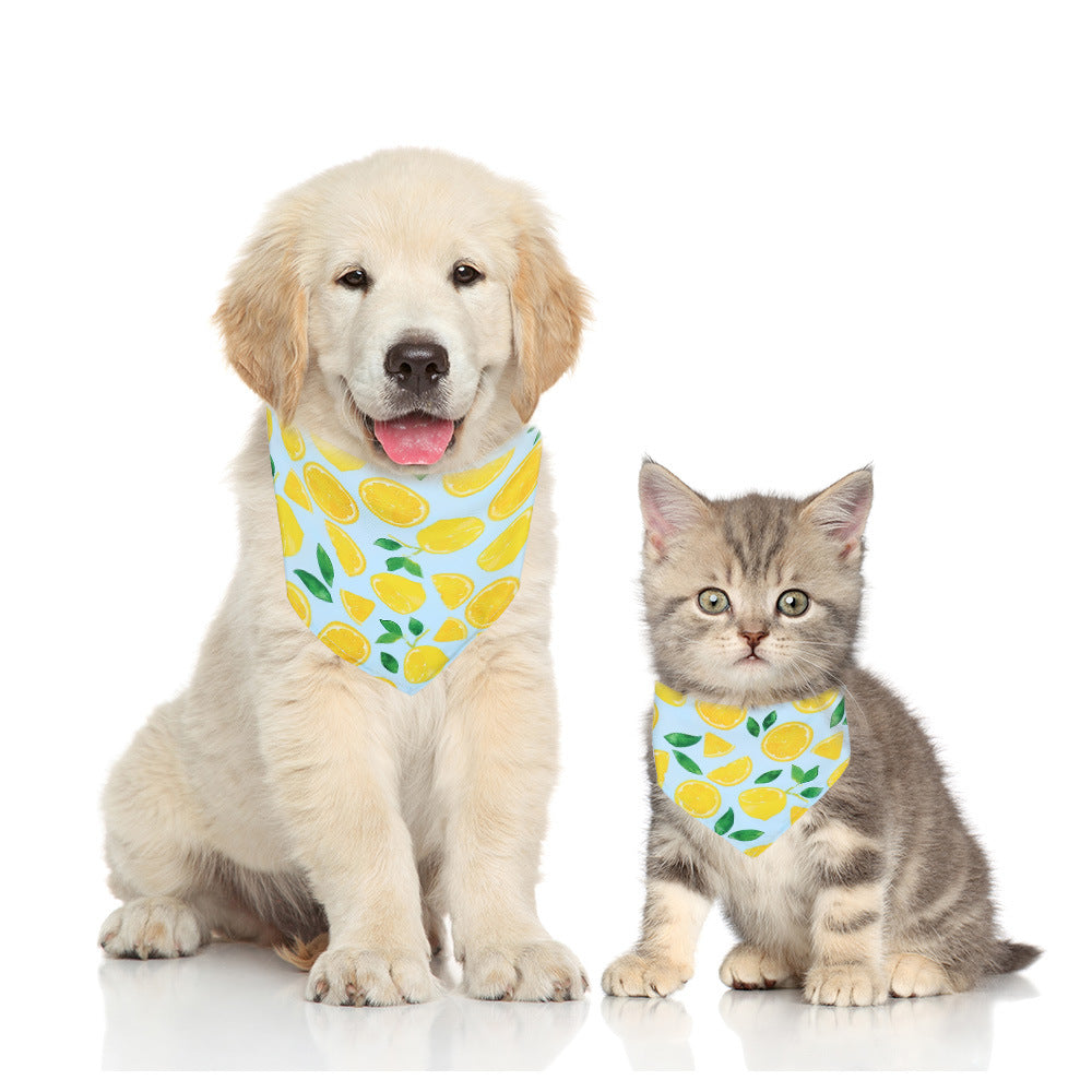 Cat & Dog Collar