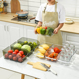 Refrigerator Egg Storage Box