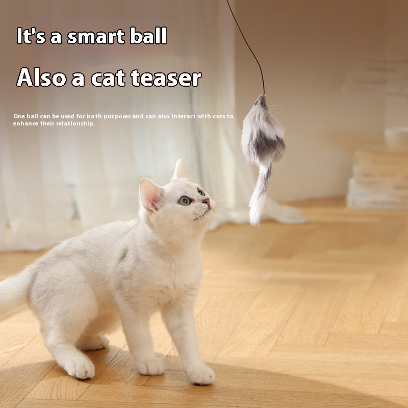 Automatic Rolling Mouse Teaser Ball for Cats & Dogs Interactive Pet Toy