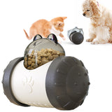 Interactive Leaking Food Ball Toy for Dogs & Cats Slow Feeder