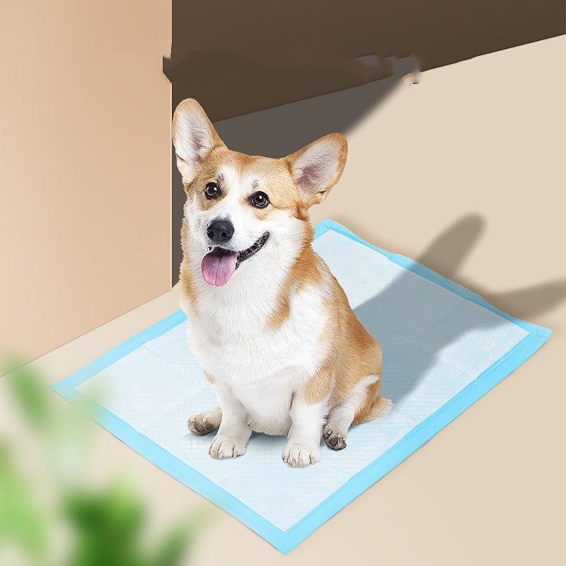 Absorbent Pet Hygiene Dog Training Pad for Puppies & Dogs