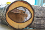 Tree Pattern Cat & Dog Tunnel Toy Interactive Pet Play Tunnel
