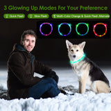 USB Rechargeable LED Dog Safety Collar