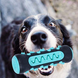 Dog Chew Toothbrush Toy